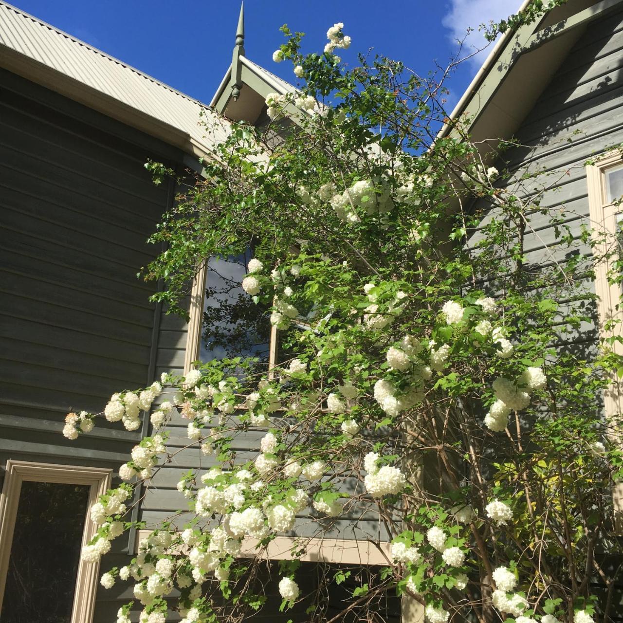 Oak Tree Lodge Rhyll Экстерьер фото